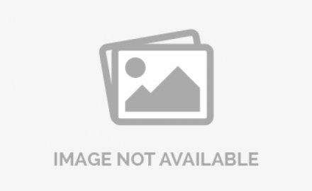 江苏省橡胶工业协会嘉宾一行到访抖圈